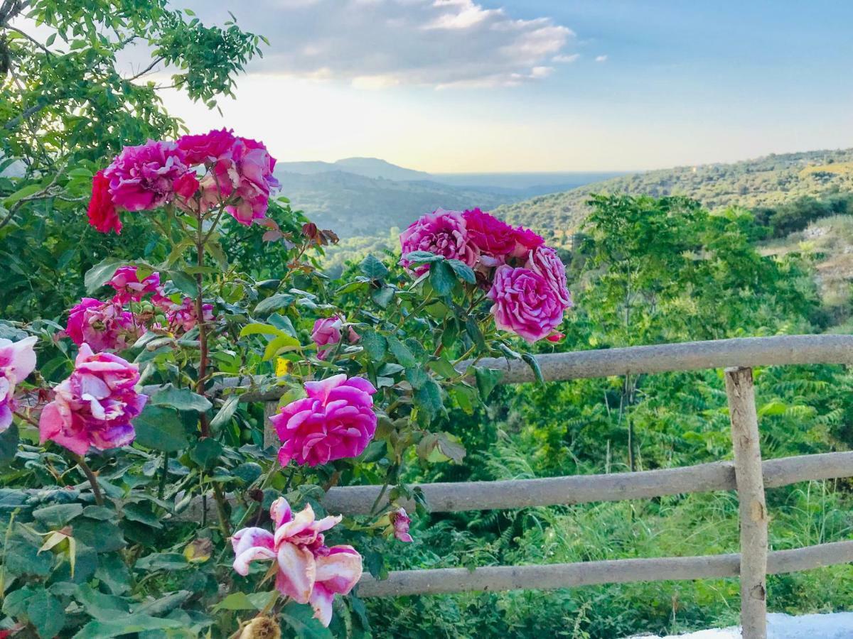 Thomas Nice View Αργυρούπολη Εξωτερικό φωτογραφία